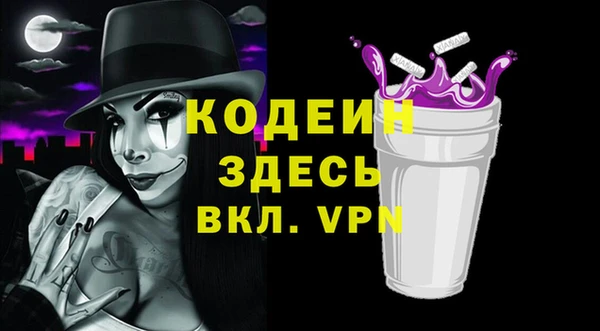 хмурый Алексин