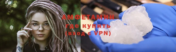 ГАЛЛЮЦИНОГЕННЫЕ ГРИБЫ Гусев