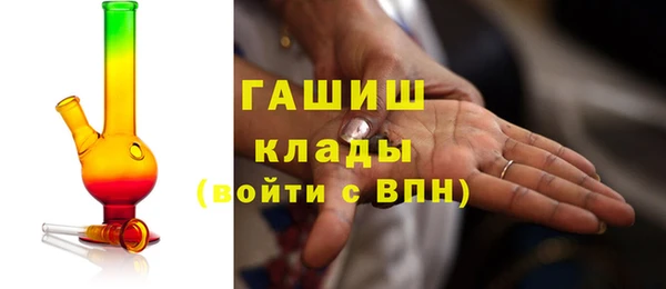 хмурый Алексин
