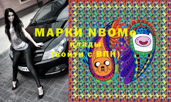 прущие грибы Алзамай