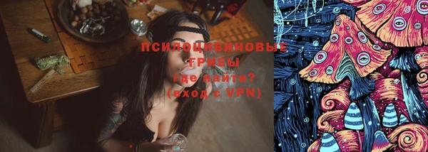 хмурый Алексин
