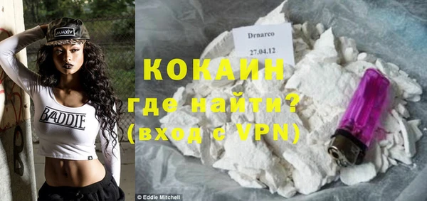 хмурый Алексин