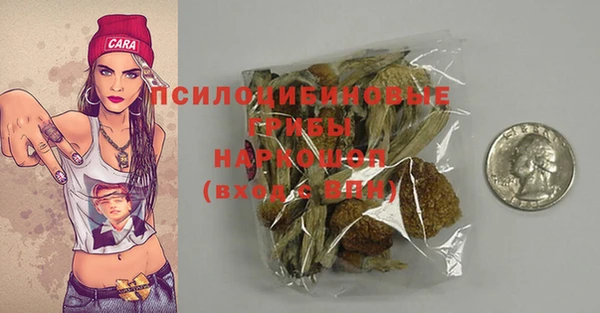 хмурый Алексин