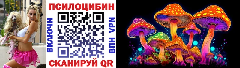 площадка какой сайт  Белебей  Галлюциногенные грибы Psilocybine cubensis 